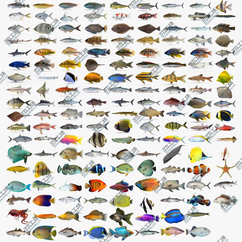 images/goods_img/20210319/Fish Collection 03 3D model/1.jpg